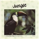 No Artist - Jungle