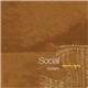 Social System - Autumn > Spring