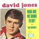 David Jones - This Bouquet / What Are We Going To Do?